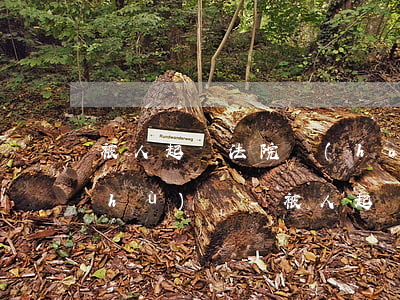 被人起訴法院會(huì)查支付寶帳戶(hù)嗎-被人起訴法院會(huì)查支付寶帳戶(hù)嗎