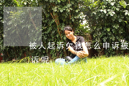 被人起诉欠钱怎么申诉(被人起诉欠钱怎么申诉呢)