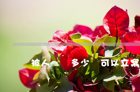 被人騙錢多少錢可以立案