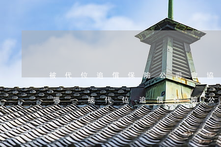 被代位追償保險公司會協(xié)商還款嗎-被代位追償保險公司會協(xié)商還款嗎怎么辦