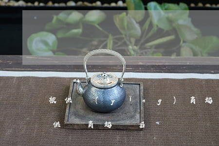 被供應(yīng)商起訴沒錢還怎么辦(被供貨商起訴后沒錢給會(huì)怎么樣)