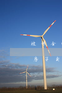被保全的房子法院可以拍卖吗(法院保全前把房子卖了)