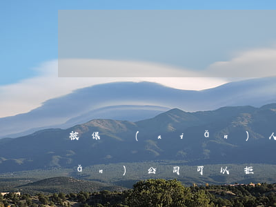 被保險(xiǎn)人違反保證保險(xiǎn)公司可以拒賠嗎