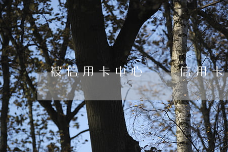 被信用卡中心約談（信用卡逾期銀行要面談）