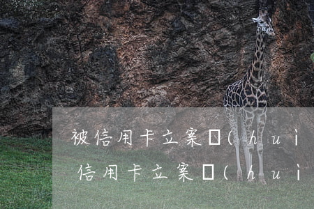 被信用卡立案會(huì)有什么后果-被信用卡立案會(huì)有什么后果嗎