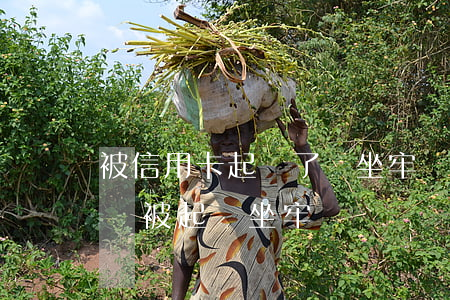 被信用卡起訴了會坐牢嗎（信用卡大面積逾期會被起訴坐牢嗎）
