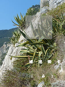 被信用卡起訴后,多久會(huì)凍結(jié)銀行卡（信用卡起訴多久消案）
