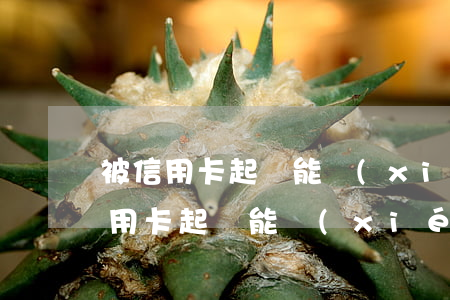 被信用卡起訴能協(xié)商撤訴么(被信用卡起訴能協(xié)商撤訴么嗎)