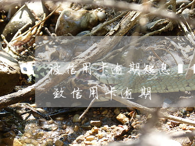 被信用卡逾期短息詐騙(因被騙導(dǎo)致信用卡逾期)