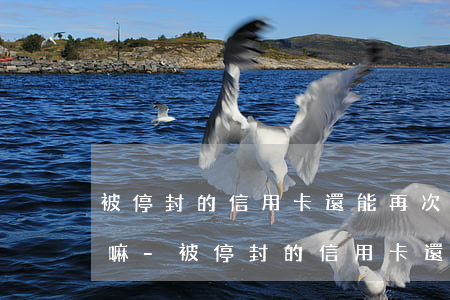 被停封的信用卡還能再次申請(qǐng)嘛-被停封的信用卡還能再次申請(qǐng)嘛