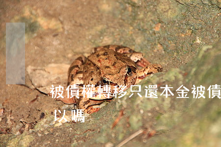 被債權轉移只還本金(被債權轉移只還本金可以嗎)