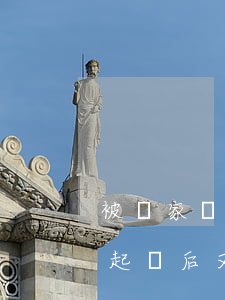 被兩家銀行同時(shí)起訴了(一家銀行起訴后又一家)