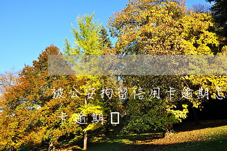 被公安拘留信用卡逾期怎么辦（拘留影響信用卡逾期嗎）