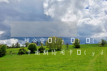 被公安機(jī)關(guān)拘留信用卡逾期（信用卡嚴(yán)重逾期拘留）