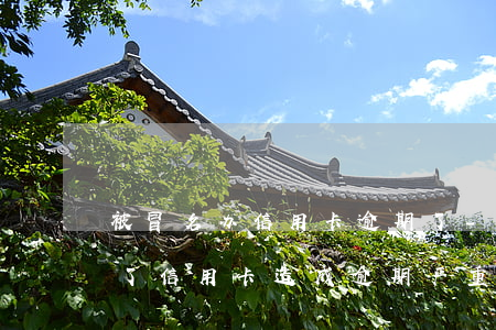 被冒名办信用卡逾期了-冒用他人身份证办了信用卡造成逾期严重吗