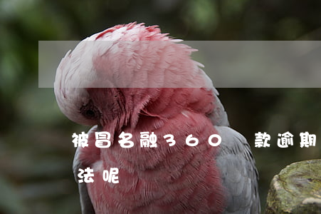 被冒名融360貸款逾期(360貸款合不合法呢)