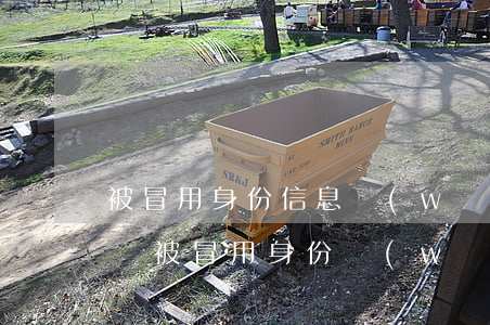 被冒用身份信息網(wǎng)貸可以起訴嗎(被冒用身份網(wǎng)貸報(bào)警有用嗎)