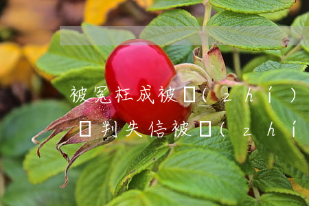 被冤枉成被執(zhí)行失信人怎么辦(被誤判失信被執(zhí)行人怎么辦)