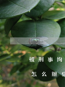 被刑事拘留導(dǎo)致銀行信用卡逾期怎么辦（信用卡逾期被拘留以后）