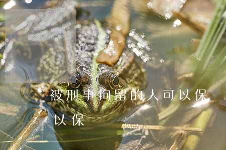 被刑事拘留的人可以保釋嗎(民事案件拘留可以保釋嗎)