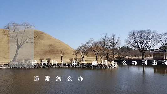 被刑拘信用卡逾期怎么办(刑事拘留后信用卡逾期怎么办)