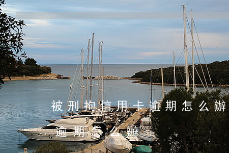 被刑拘信用卡逾期怎么辦(刑事拘留后信用卡逾期怎么辦)