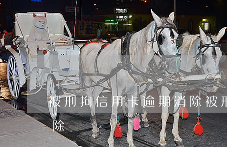被刑拘信用卡逾期消除(被刑拘信用卡逾期消除)