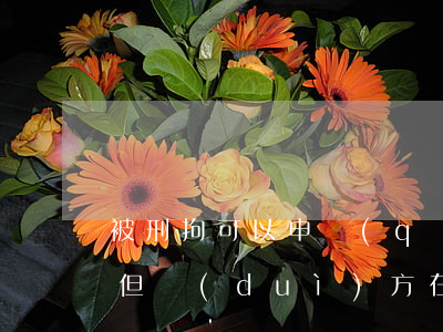 被刑拘可以申請(qǐng)離婚嗎(想離婚但對(duì)方在拘留可以離嗎?)
