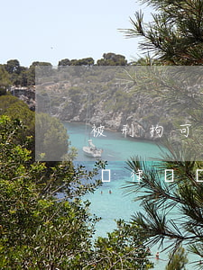 被刑拘可以要求見律師嗎(拘留期間可以要求見律師嗎)