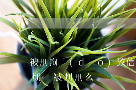 被刑拘導(dǎo)致信用卡逾期（信用卡逾期會被判刑么）
