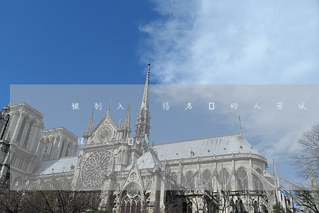 被列入失信名單的人可以是反擔(dān)保人嗎