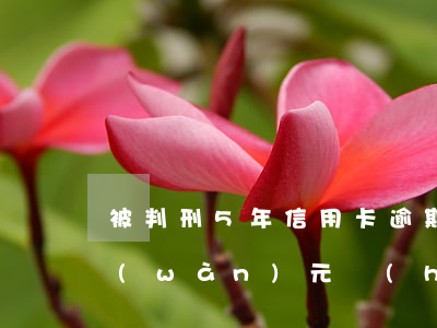 被判刑5年信用卡逾期(欠信用卡逾期20萬(wàn)元會(huì)的被判刑幾年)
