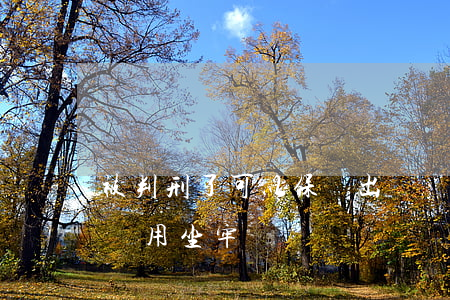 被判刑了可以保釋出來嗎(判刑后保釋出來了還用坐牢嗎?)