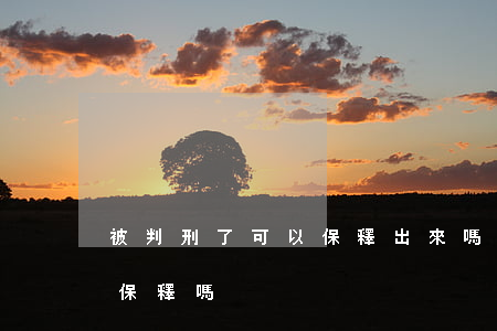 被判刑了可以保釋出來嗎(被判有期徒刑可以保釋嗎)