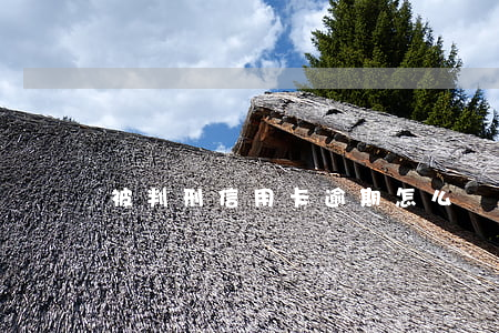 被判刑信用卡逾期怎么辦