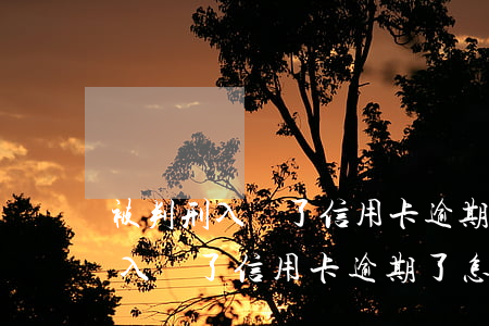 被判刑入獄了信用卡逾期了怎么辦-被判刑入獄了信用卡逾期了怎么辦呢