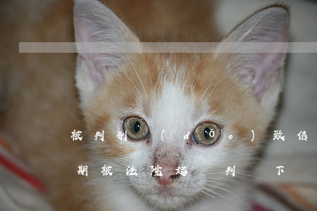 被判刑導(dǎo)致信用卡逾期（信用卡逾期被法院起訴判決下來(lái)）