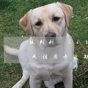 被判刑導(dǎo)致信用卡逾期（因訴訟造成信用卡逾期）