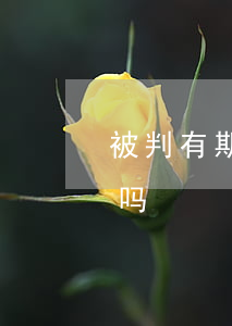 被判有期徒刑可以保释吗(无期徒刑可以保释吗)
