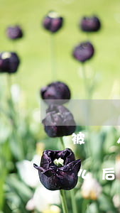 被別人亂起訴可以要賠償嗎(亂起訴別人有什么后果)
