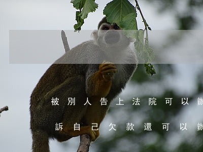 被別人告上法院可以辦護照嗎(朋友在法院起訴自己欠款還可以辦理護照嗎)