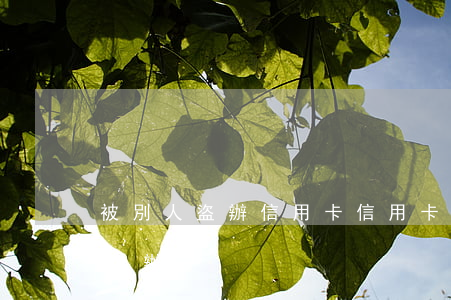 被別人盜辦信用卡（信用卡被他人盜用逾期怎么辦）