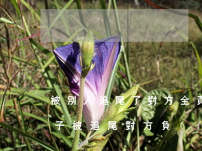 被別人追尾了對方全責(zé)怎么賠償(車子被追尾對方負(fù)全責(zé)怎么賠償)