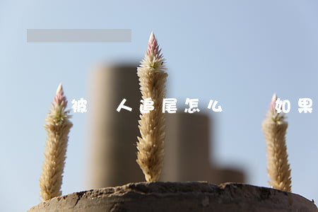 被別人追尾怎么賠償(如果把別人追尾了,需要賠錢嗎)