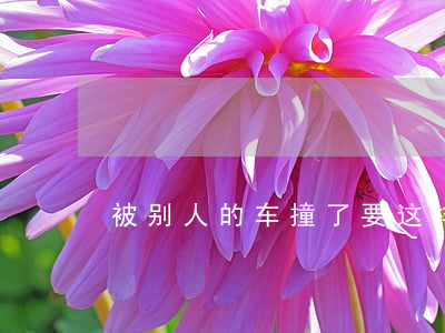 被别人的车撞了要这样赔偿