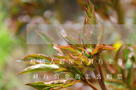 被别人追尾了对方全责怎么赔偿(车子被追尾对方负全责怎么赔偿)