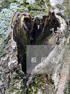 被前夫說假離婚(離婚了為啥害怕前夫)