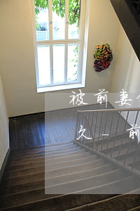 被前妻偷刷信用卡起訴時(shí)效是多久-前妻盜刷我信用卡算犯罪嗎