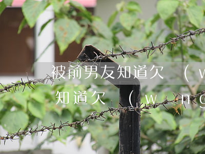 被前男友知道欠網(wǎng)貸(被前男友知道欠網(wǎng)貸)