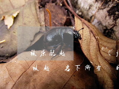 被原配起訴會凍結(jié)所有銀行卡嗎(被起訴名下所有銀行卡都會被凍結(jié)嗎)